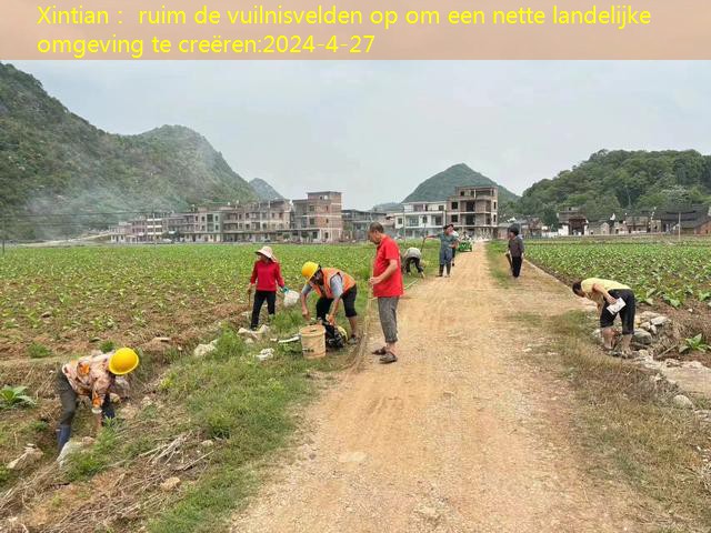 Xintian： ruim de vuilnisvelden op om een ​​nette landelijke omgeving te creëren